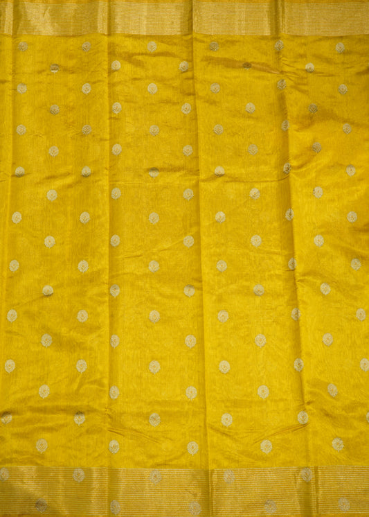 Gold Yellow Chanderi Zari buti Pure Silk Handloom Saree