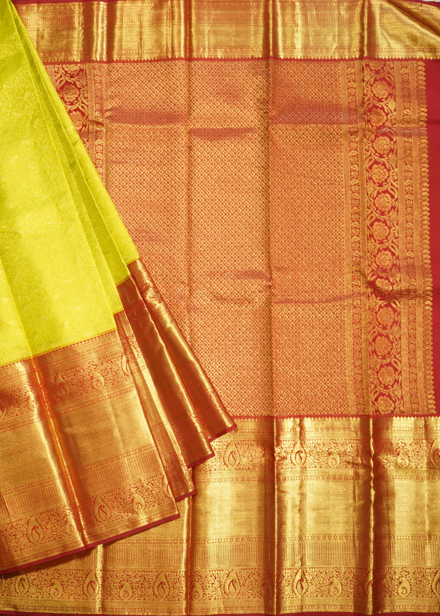 Light Green Kanchi All Over Zari Pure Silk Handloom Saree