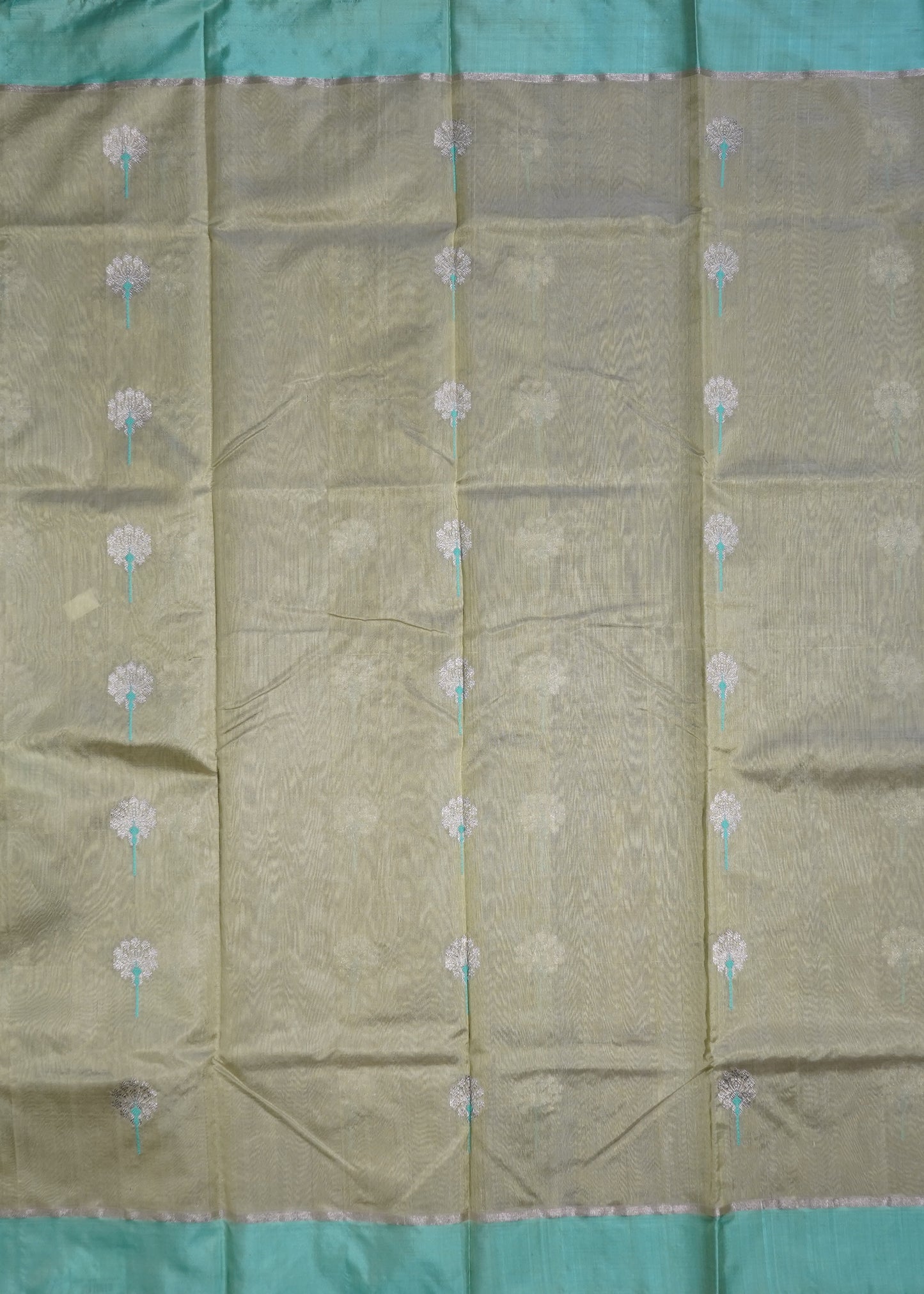 Pista Green Chanderi Eknaaliya Zari Buti Pure Silk Handloom Saree