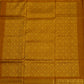 Blue Venkatagiri Box Checks Pure Silk Handloom Saree