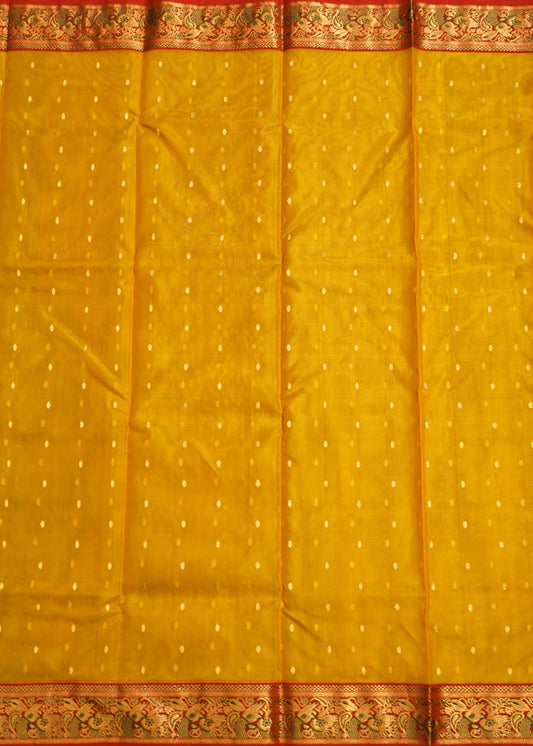 Gold Yellow Chanderi Organza Pure Silk Handloom Saree