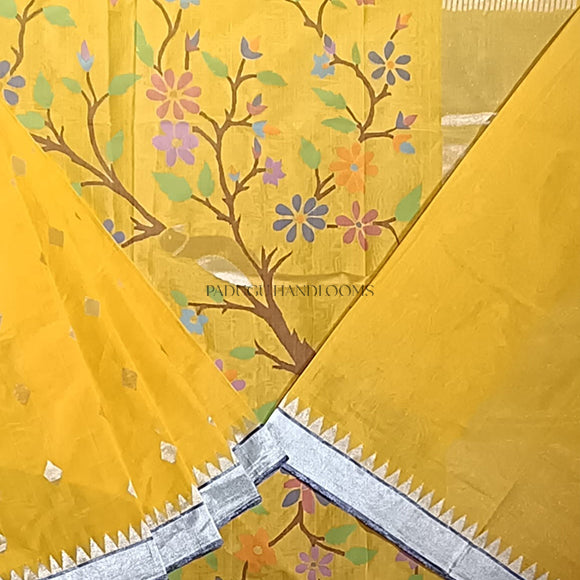 Yellow Ponduru Pure Cotton Pallu Jamdani Handloom saree