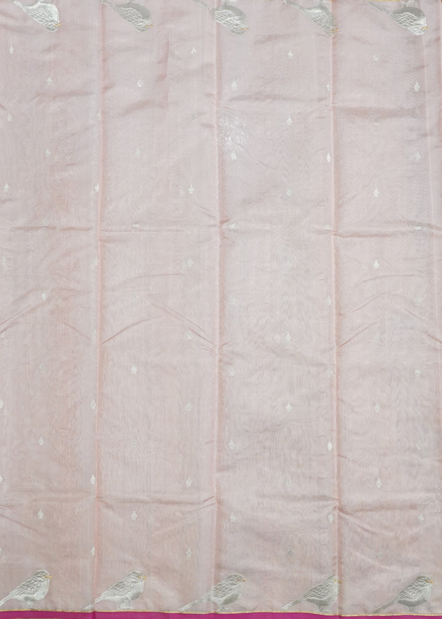 Light Pink Chanderi  Zari Donaal Buti Pure Silk  Handloom Saree
