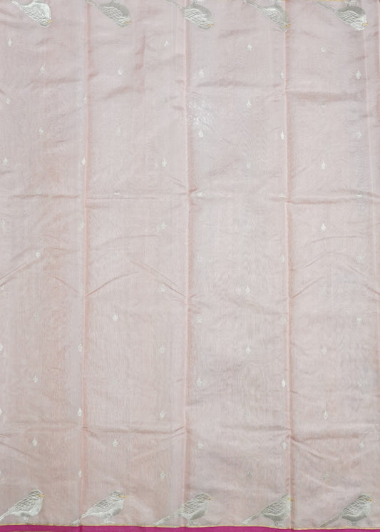 Light Pink Chanderi  Zari Donaal Buti Pure Silk  Handloom Saree