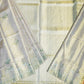Beige Kanchi All Over Tissue Pure Silk Handloom Saree
